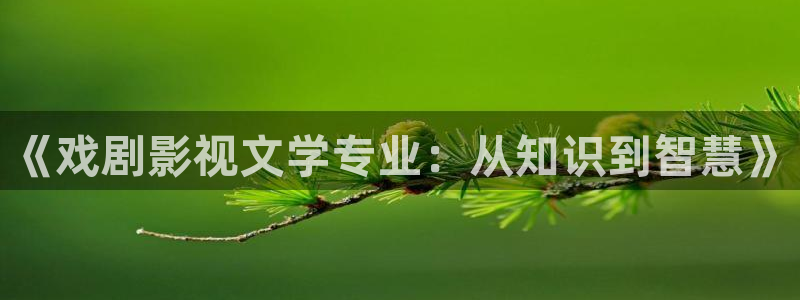 电影天堂韩国电影