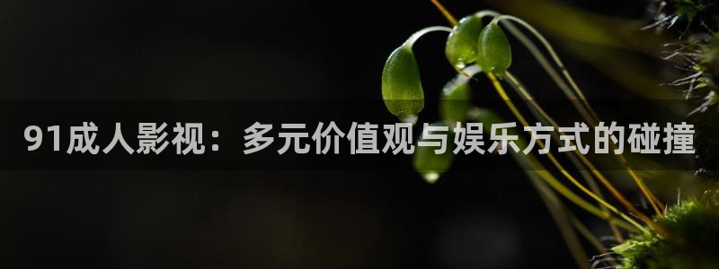 av天堂不卡电影网